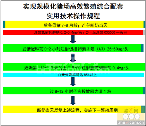 论母猪繁殖障碍的发生原因及处理措施
