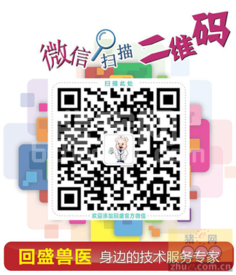 猪传染性胸膜肺炎
