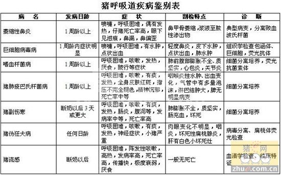 哪些猪病引发了猪呼吸道疾病？