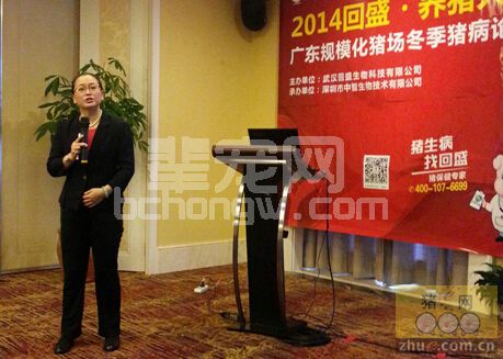 张桂红教授谈猪流行性腹泻（二）