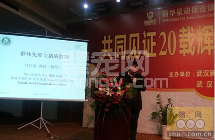 何启盖教授谈猪病（一）：猪病诊断动态