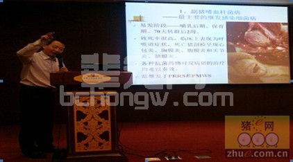 杨汉春教授谈猪病（四）：猪细菌性疫病