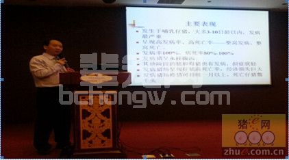 杨汉春教授谈猪病（二）：仔猪病毒性腹泻