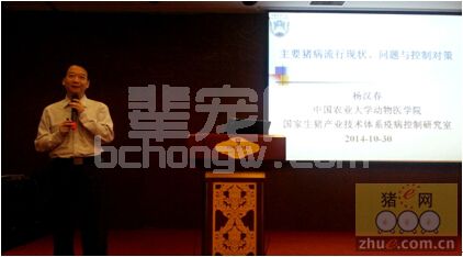 杨汉春教授谈猪病（一）：猪蓝耳病