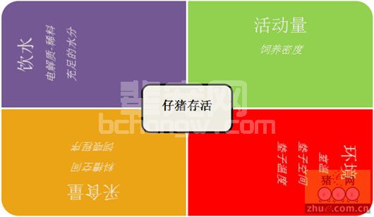 猪流行性腹泻的最新研究进展