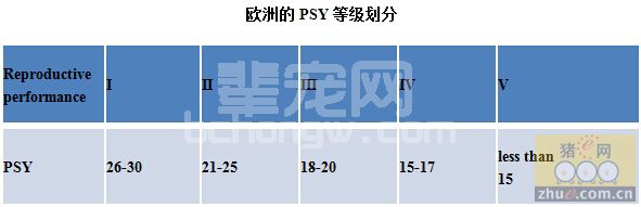 提升母猪繁殖力是猪场今后生存的保障