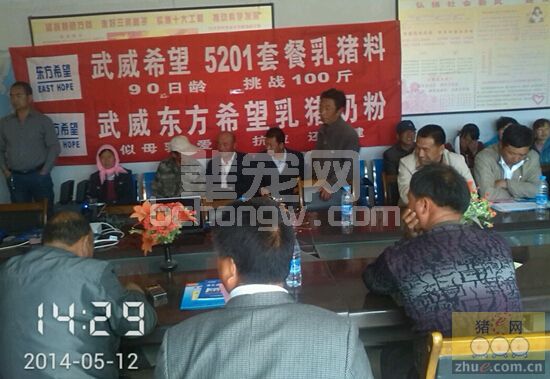 母猪内源性繁殖障碍的原因和解决方案