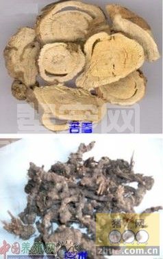 养殖户使用苦参苍术散能防仔猪消化不良
