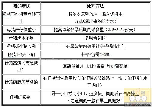 养猪过程中遇到问题的处理技巧