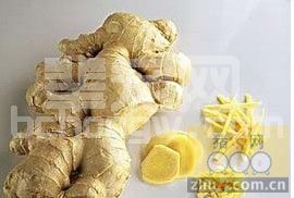 用姜治病之猪腹泻
