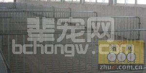 万头规模猪场工厂化养猪设备设计规范