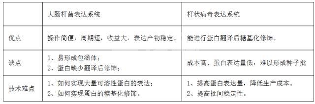 必看科普：大肠杆菌“生出来”的疫苗到底有哪些优势呢？