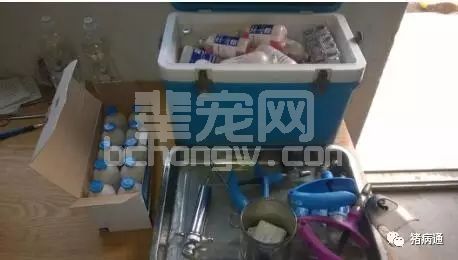 养猪场如何制定合理的免疫及保健程序？