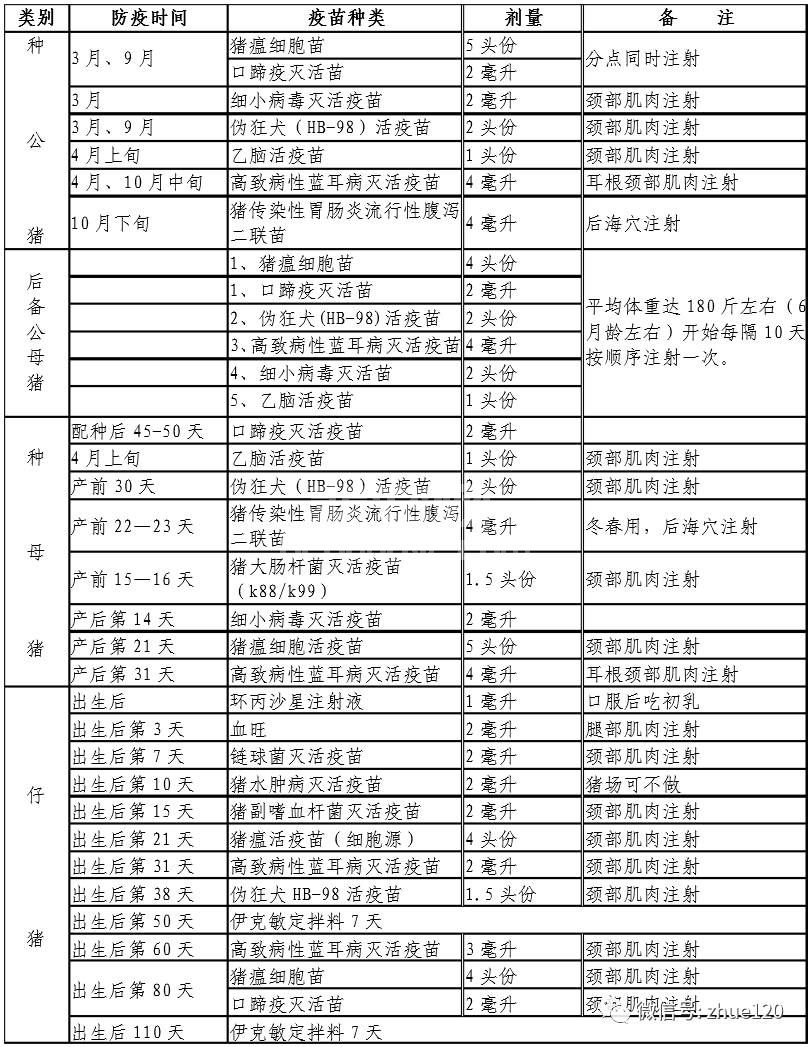 送给养猪人的福利！猪场免疫程序参考方案