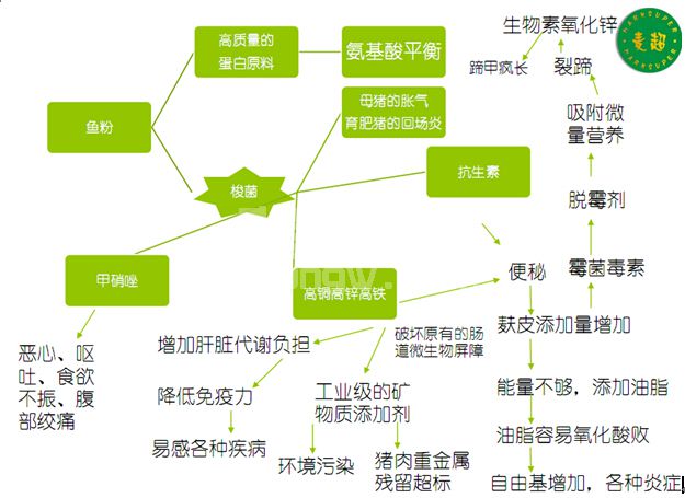 快看！抗生素、鱼粉、转基因饲料，那些正祸害你的猪场！