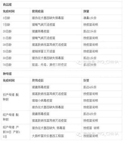 规模化种猪场免疫程序，附免疫时间与疫苗用量