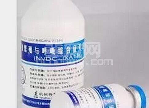 疫苗兽药种类越来越多，质量越来越高档，为什么猪病越来越来治？