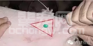 疫苗如何打效果好