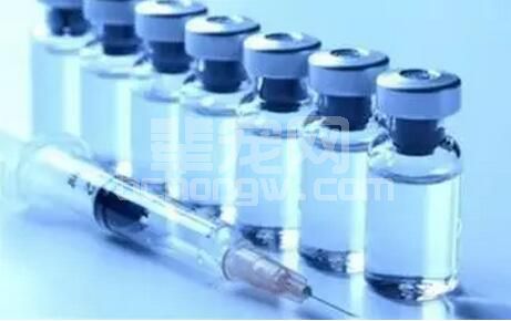 徐苏标：要根据不同的免疫目的选择不同的佐剂疫苗