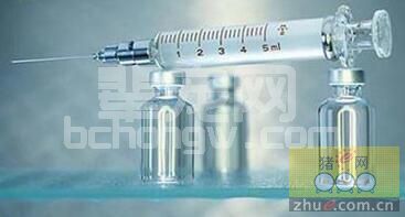 疫苗稀释，你的方法正确吗？