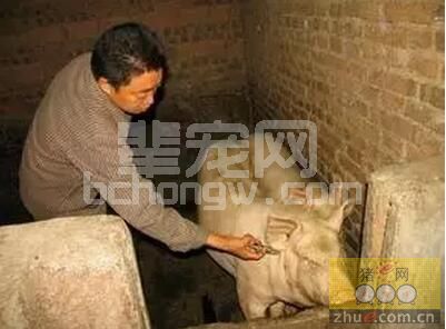真正意义上的防疫，是要能行之有效的解决猪场问题