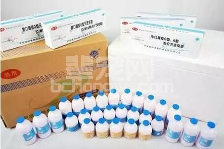 如何应对疫苗免疫保护期一般只有6个月的高压疫病口蹄疫呢？