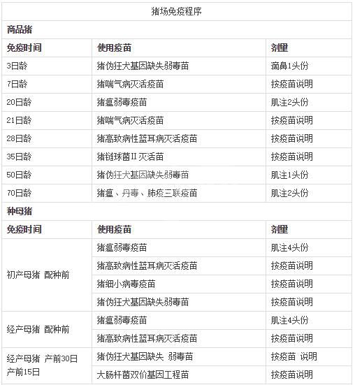 兽医总监曝光规模猪场免疫程序（附免疫时间与疫苗用量）