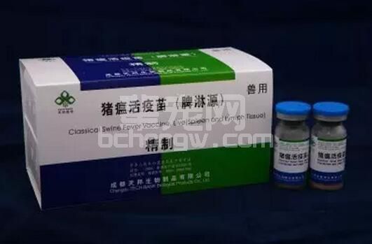 熊孩子误食了猪瘟疫苗（或疫苗打在身上）怎么办？