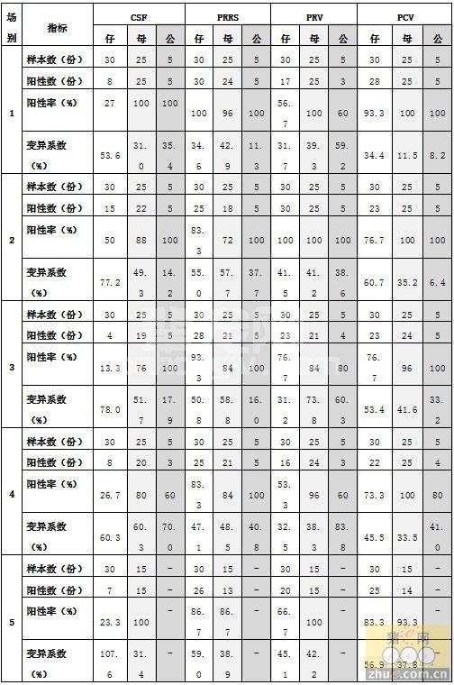 某规模化猪场抗体检测的应用与分析