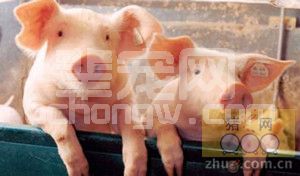 用于动物保健预防的添加剂
