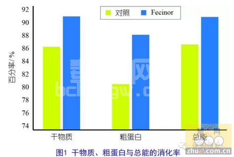 免疫系统在肠道健康中的重要作用