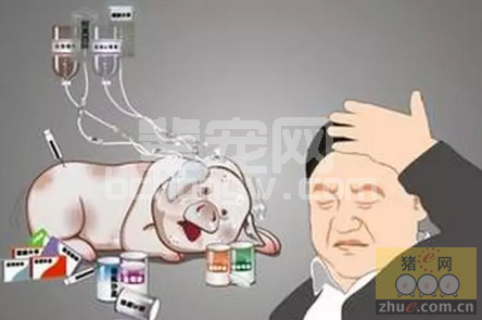 猪场如何制定有效的免疫程序？