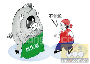 防控生猪疫病，千万不可滥用抗生素！