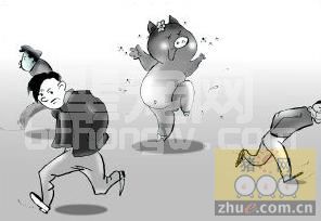 蝇洁净使用案例