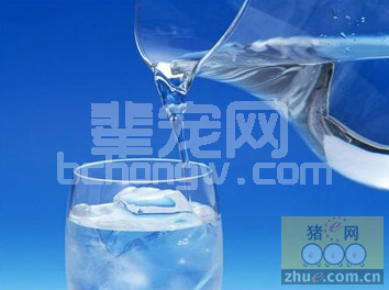 用凉开水稀释疫苗的危害简析