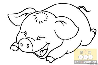 保健养猪顺口溜