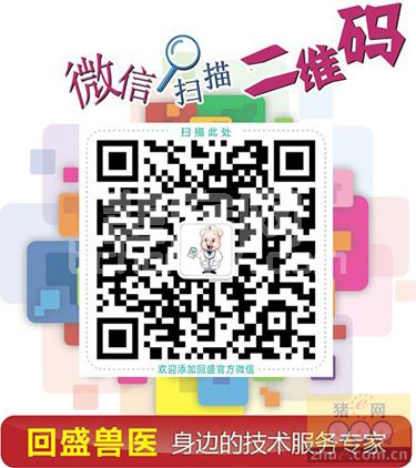 目前猪场在疾病治疗中容易忽视的问题