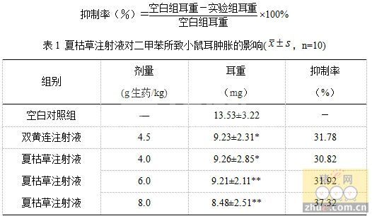 夏枯草注射液抗炎和抗菌作用的研究