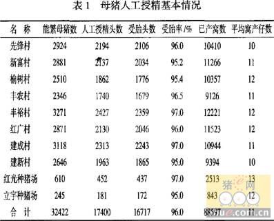组织实施猪鲜精人工授精工作的一点体会