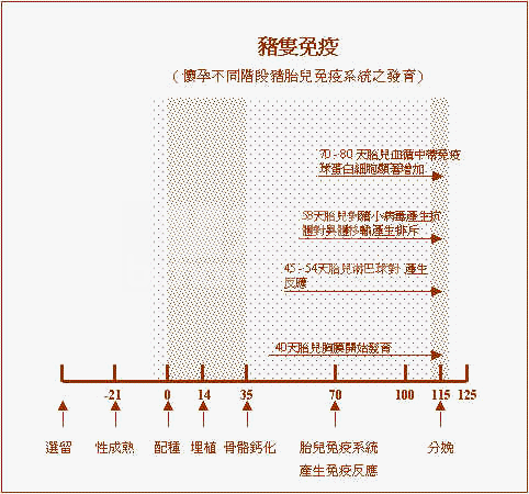 疫苗注射应注意事项