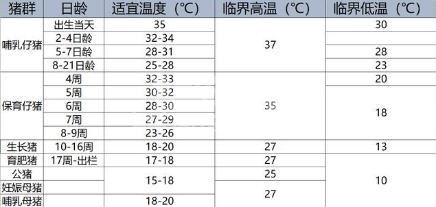 农村养猪老话“谁把握了温度，谁就把握了猪群”是什么意思？