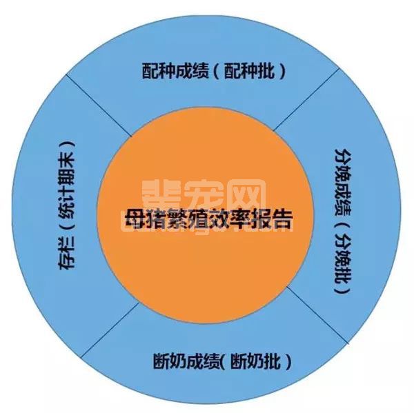 猪场水平高低如何判断？一张报表就能看明白！