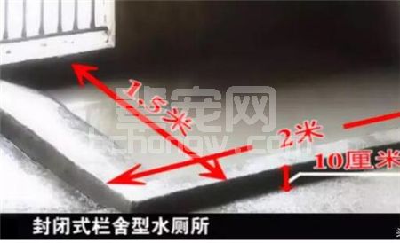 如何用50元让50斤以上的猪平安渡过炎热的夏季！不打针吃药，实用