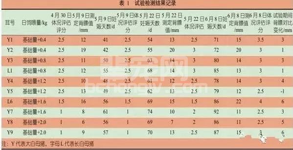 如何通过饲喂量调控母猪背膘厚？