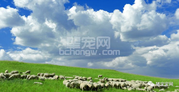 降温需要注意这些小细节！