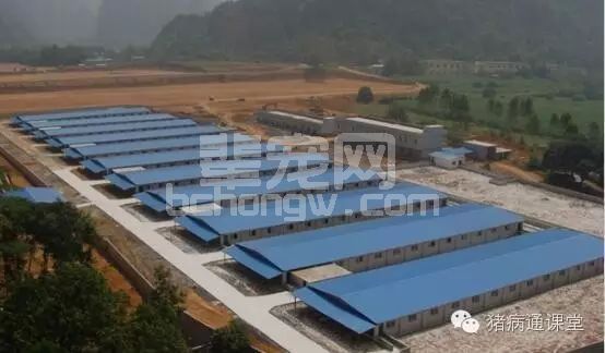 规模养猪场生产如何把控"营养、环境、兽药和疾病防空"四大关口？