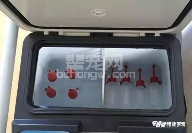 精液预热可不做，但输精前的这一步必须做，否则会影响产仔数