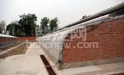 不可忽视的猪舍有害气体！如何保持舍内空气的质量？