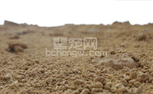 养猪户老王每个星期都会往猪圈里面扔沙子，一问才知道原因！