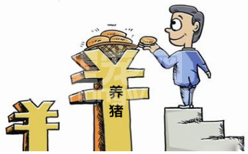 2018增加养猪收益从提高养猪效率开始！